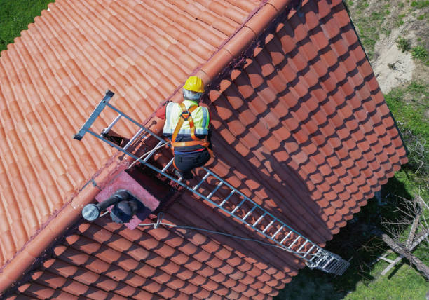 Siding in Elk Grove Village, IL