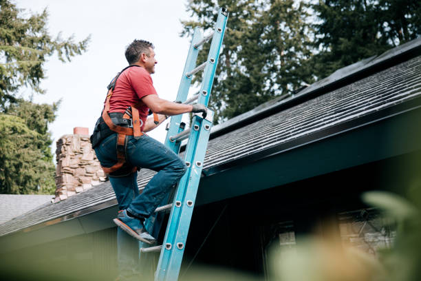 Reliable Elk Grove Village, IL Roofing Service  Solutions